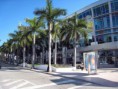 /album/fotogaleria/lincoln-road-jpg/